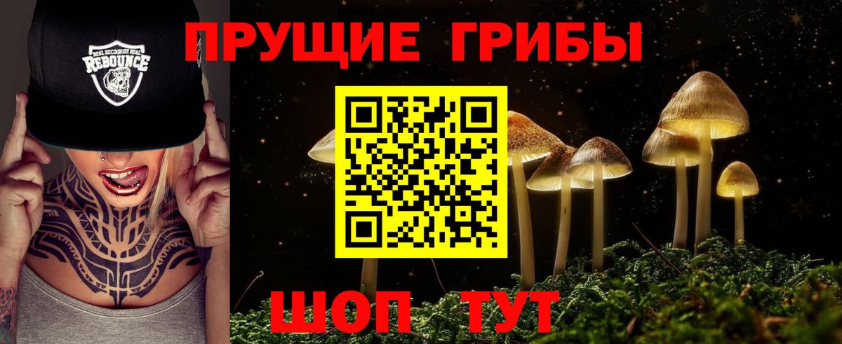 Псилоцибиновые грибы GOLDEN TEACHER Алушта