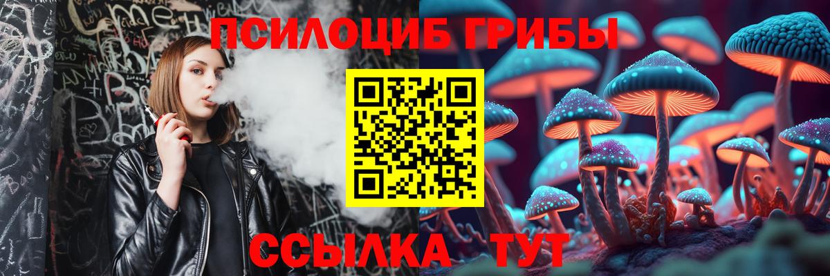 Галлюциногенные грибы Cubensis  Вход с VPN  Алушта  Псилоцибиновые грибы GOLDEN TEACHER 